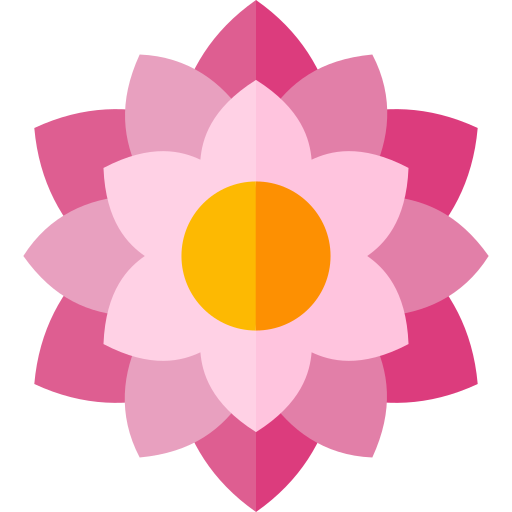 FNF Logo