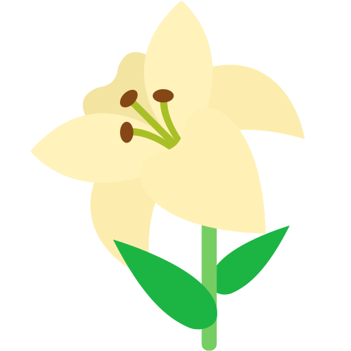 White Flowers